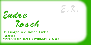 endre kosch business card